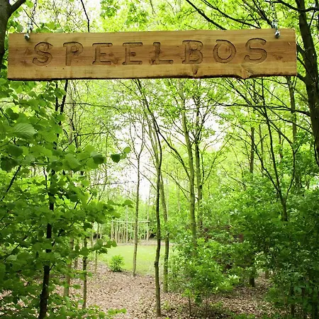 Holiday Someren-heide * Someren